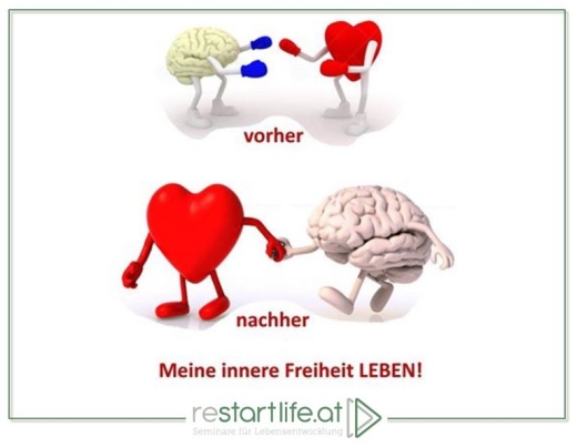 Vorher Nachher